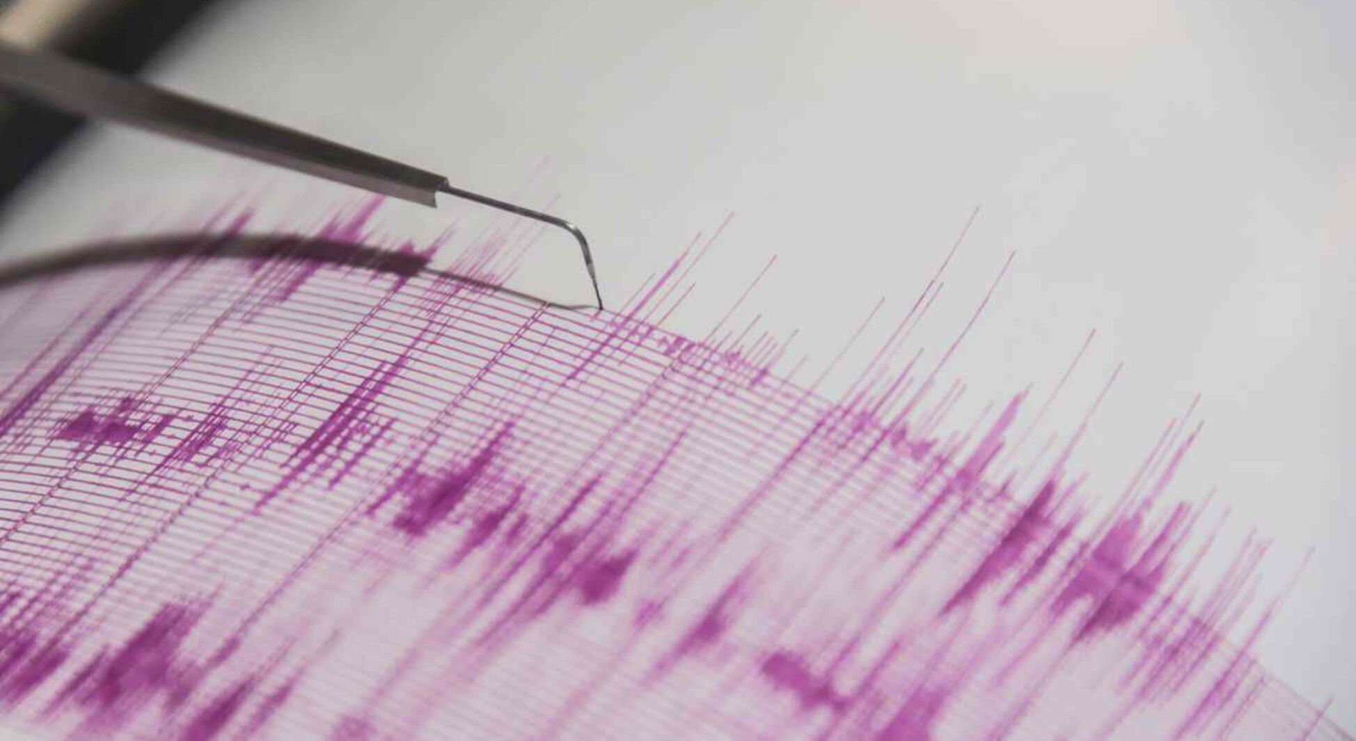 4.6 earthquake strikes near Berkeley, felt across Bay Area